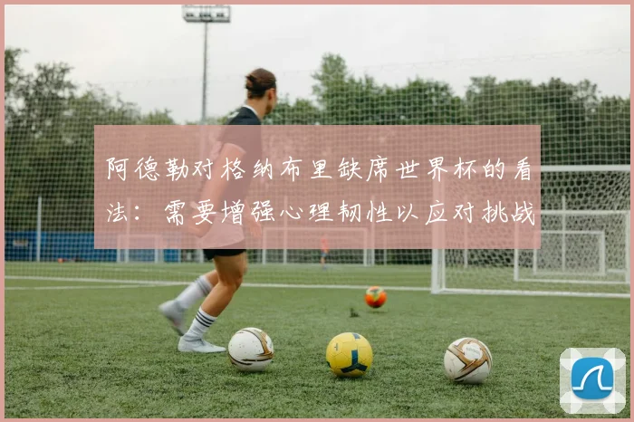 阿德勒对格纳布里缺席世界杯的看法：需要增强心理韧性以应对挑战